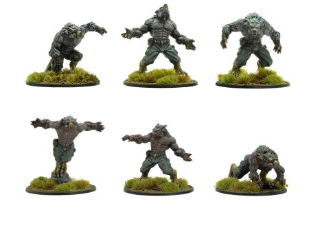 Konflikt ’47 Schreckwulfen Squad Discount